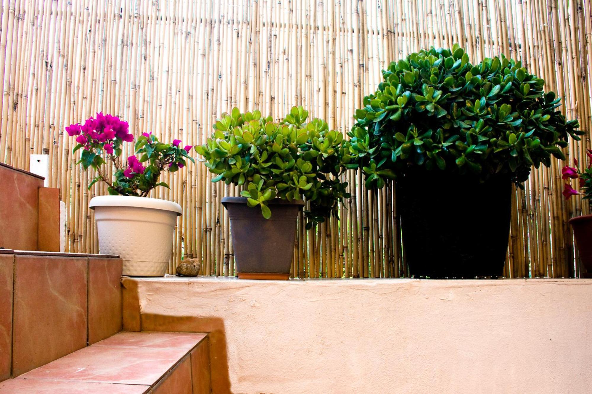 Lilian'S House Villa Chania  Exterior foto